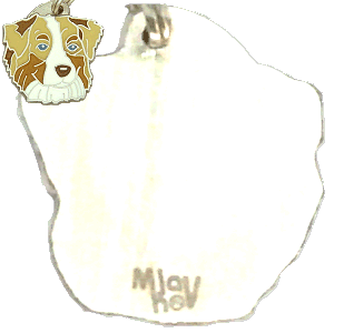 Namnbrickor för hundar MjavHov - Graverade ID-brickor webbshop
